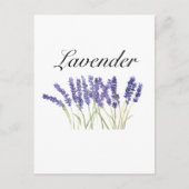 Carte Postale Fleurs de lavande aquarelle herbes violet chic (Devant)