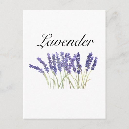 Carte Postale Fleurs de lavande aquarelle herbes violet chic (Devant)