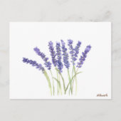 Carte Postale Fleurs de lavande aquarelle violet Floral rustique (Devant)