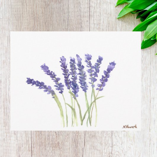 Carte Postale Fleurs de lavande aquarelle violet Floral rustique