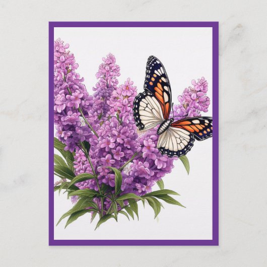 CARTE POSTALE FLEURS DE LAVANDE AVEC PAPILLON (Devant)