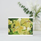 Carte Postale Fleurs de Lily Mariage (Debout devant)