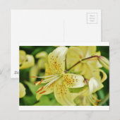 Carte Postale Fleurs de Lily Mariage (Devant / Derrière)