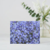 Carte Postale Fleurs de lin aux jardins de Longwood, Pennsylvani (Debout devant)