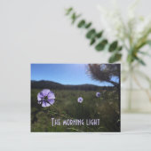 Carte Postale Fleurs de lin bleu de la prairie panoramique vous  (Debout devant)