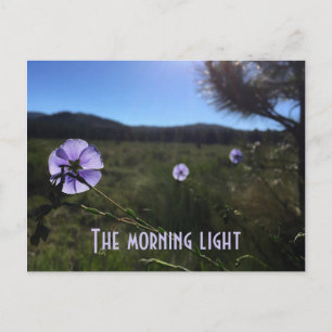 Carte Postale Fleurs de lin bleu de Prairie Scénique vous manque