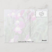Carte Postale fleurs de Linaria Maroccana (Linaire marocaine) (Dos)