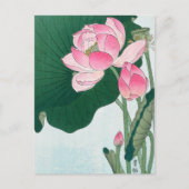 Carte Postale Fleurs de Lotus en fleurs, Koson, Art Fleur Japona (Devant)