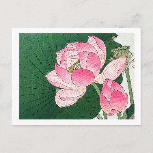 Carte Postale Fleurs de lotus en fleurs - Ohara Koson - agrandi (Devant)
