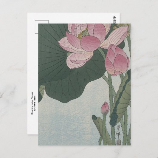 Carte Postale Fleurs de Lotus en fleurs par Ohara Koson (Devant / Derrière)