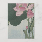 Carte Postale Fleurs de Lotus en fleurs par Ohara Koson (Devant)