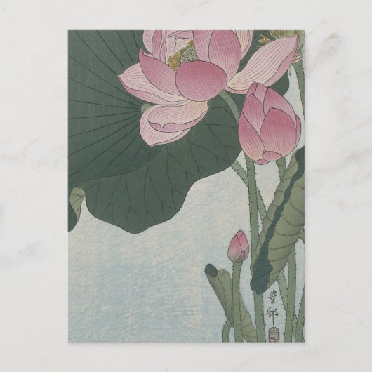 Carte Postale Fleurs de Lotus en fleurs par Ohara Koson (Devant)