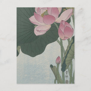 Carte Postale Fleurs de lotus épanouies par Ohara Koson