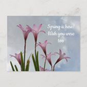 Carte Postale Fleurs de lys de pluie rose pastel Vous manquant (Devant)