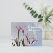 Carte Postale Fleurs de lys de pluie rose pastel Vous manquant (Debout devant)