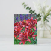 Carte Postale Fleurs de lys rouges (Debout devant)