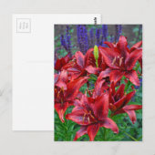 Carte Postale Fleurs de lys rouges (Devant / Derrière)