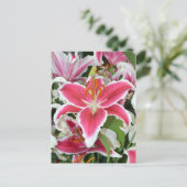 Carte Postale Fleurs de lys stargazers roses (Debout devant)