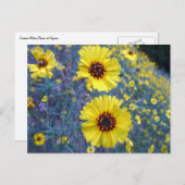 Carte Postale Fleurs de Madia communes dans le parc national de  (Devant / Derrière)