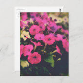 Carte Postale Fleurs de magasin d'alimentation (Devant / Derrière)