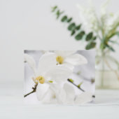 Carte Postale fleurs de magnolia (Debout devant)