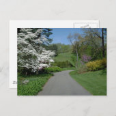 Carte Postale Fleurs de mai (Devant / Derrière)