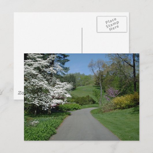 Carte Postale Fleurs de mai (Devant / Derrière)