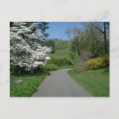 Carte Postale Fleurs de mai (Devant)