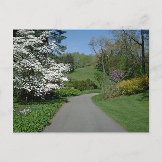 Carte Postale Fleurs de mai (Devant)