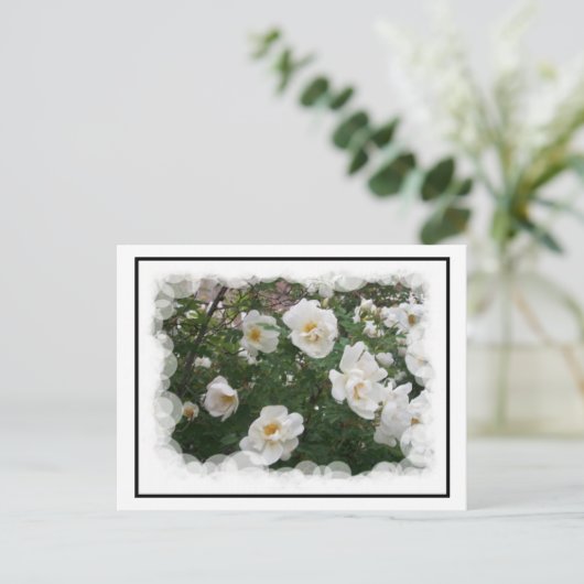 Carte postale Fleurs de mai (Debout devant)