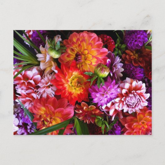 Carte Postale Fleurs de marché agricoles (Devant)