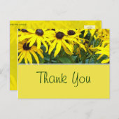 Carte Postale fleurs de marguerite d'été jaune vif merci (Devant / Derrière)