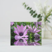 Carte Postale fleurs de marguerite violette merci (Debout devant)