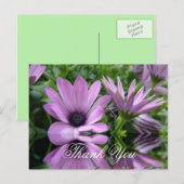 Carte Postale fleurs de marguerite violette merci (Devant / Derrière)