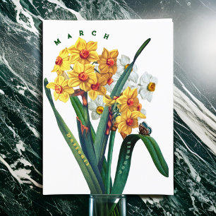Carte Postale Fleurs de mars Jonquille Narcisse