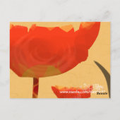 Carte Postale Fleurs de Merci (Dos)