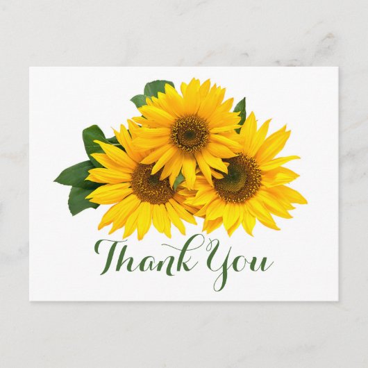 Carte Postale Fleurs de Merci Florales Fleurs de soleil Jaunes e (Devant)
