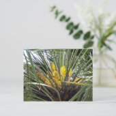 Carte Postale Fleurs de palmiers jaunes parfumées (Debout devant)