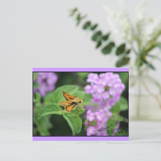 Carte Postale Fleurs de papillon (Debout devant)