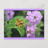 Carte Postale Fleurs de papillon (Devant)