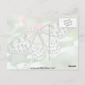 Carte Postale Fleurs de papillon (Dos)