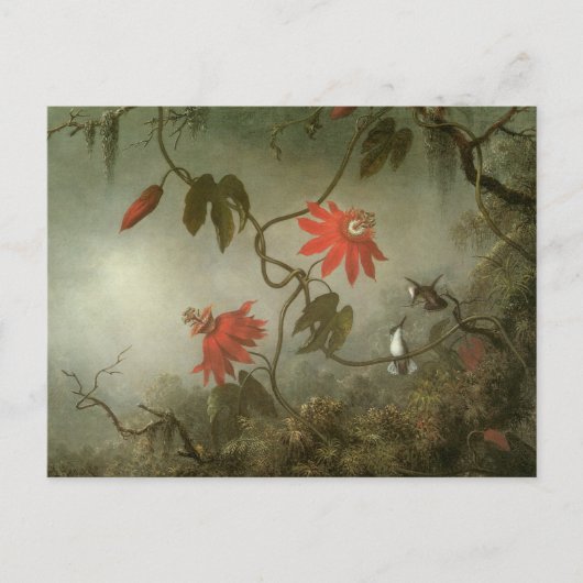 Carte Postale Fleurs de passion et colibris par Martin J Heade (Devant)