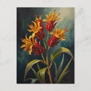 Carte Postale Fleurs de pattes Kangaroos
