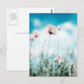 Carte Postale Fleurs de pavot (Devant / Derrière)