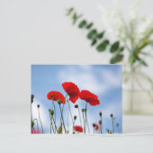 Carte Postale Fleurs de pavot rouge (Debout devant)