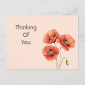 Carte Postale Fleurs de pavot rouge (Devant)