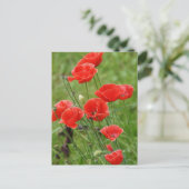 Carte Postale Fleurs de pavot rouge vibrantes (Debout devant)