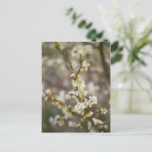 Carte Postale Fleurs de pêche (Debout devant)