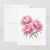 Carte Postale Fleurs de pivoine rose à l'aquarelle (Devant / Derrière)