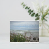 Carte Postale Fleurs de plage (Debout devant)